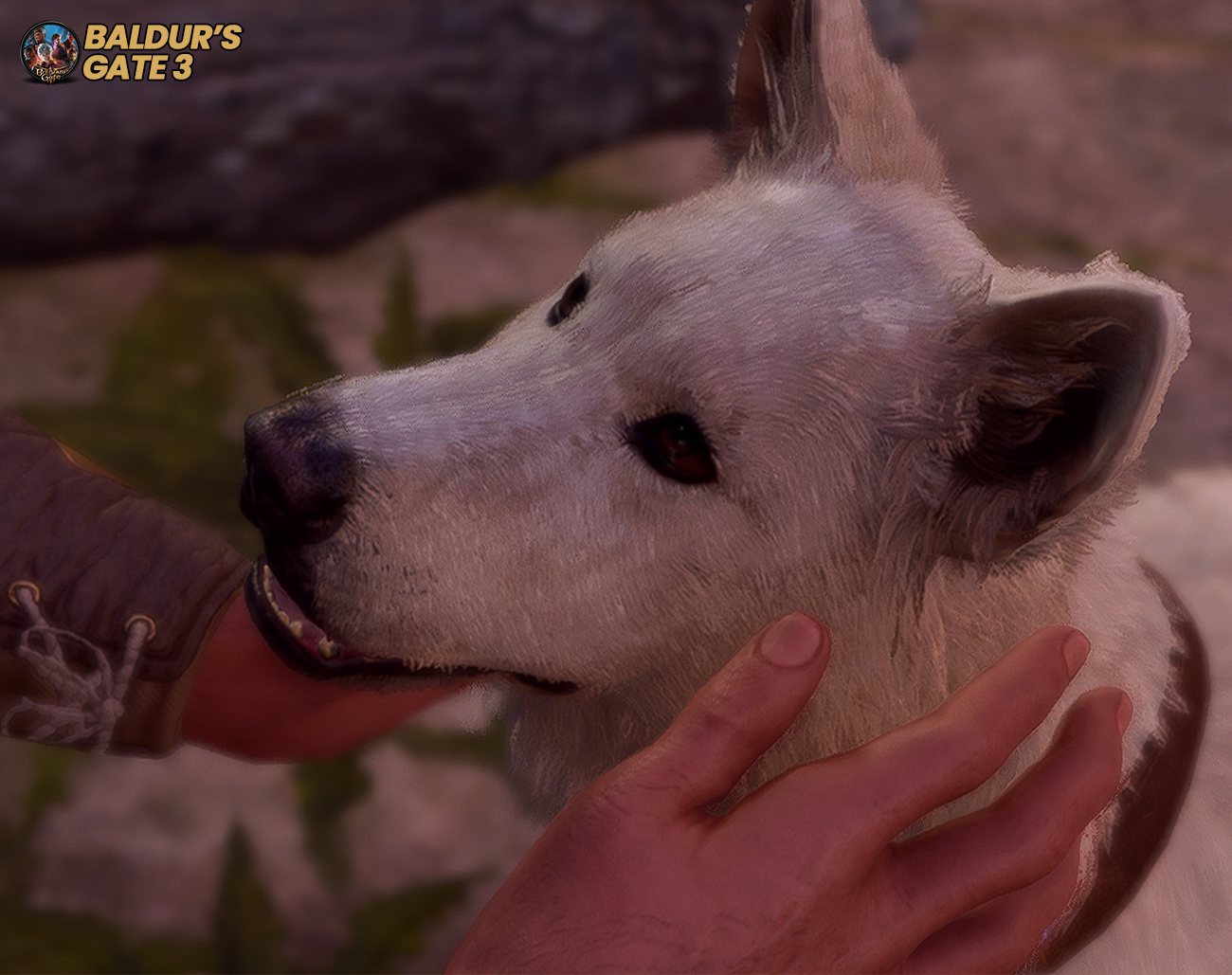 Cachorro-Cocada-Como-Recrutar-o-Melhor-Amigo-em-BG3 Cachorro Coçada: Como Recrutar o Melhor Amigo em BG3