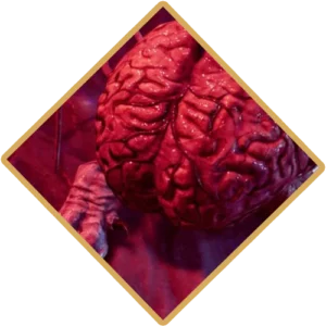 Cerebro-Nos-Como-Recrutar-e-Dominar-em-Baldurs-Gate-3-300x300 Escape do Nautiloide em BG3