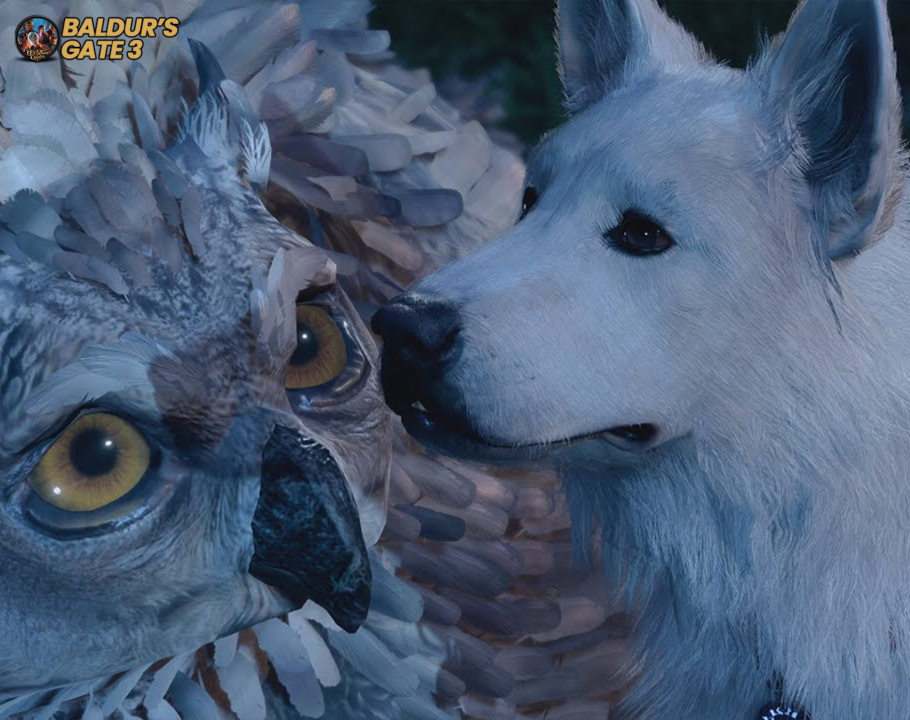 Cocada-e-o-Filhote-de-Coruja-Uma-Amizade-Inesperada Como Recrutar o Filhote de Urso-Coruja em Baldur's Gate 3