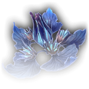 Flor de Sussurreira