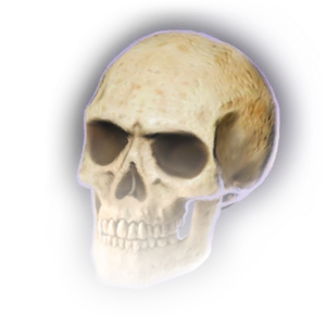 Cranio Pegue as Manoplas para Helsik em BG3 Sem Ser Detectado