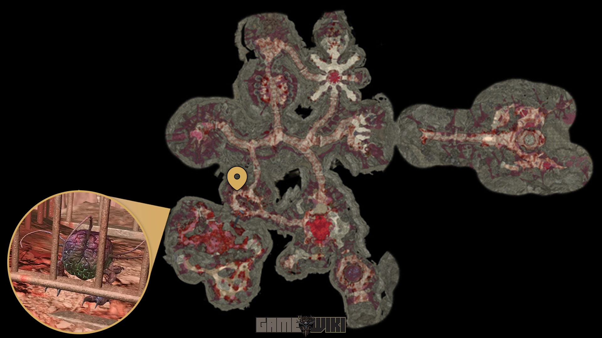 Localizacao-do-Cerebro-Nos-no-Ato-2 Como recrutar o Cérebro Nos em Baldur’s Gate 3