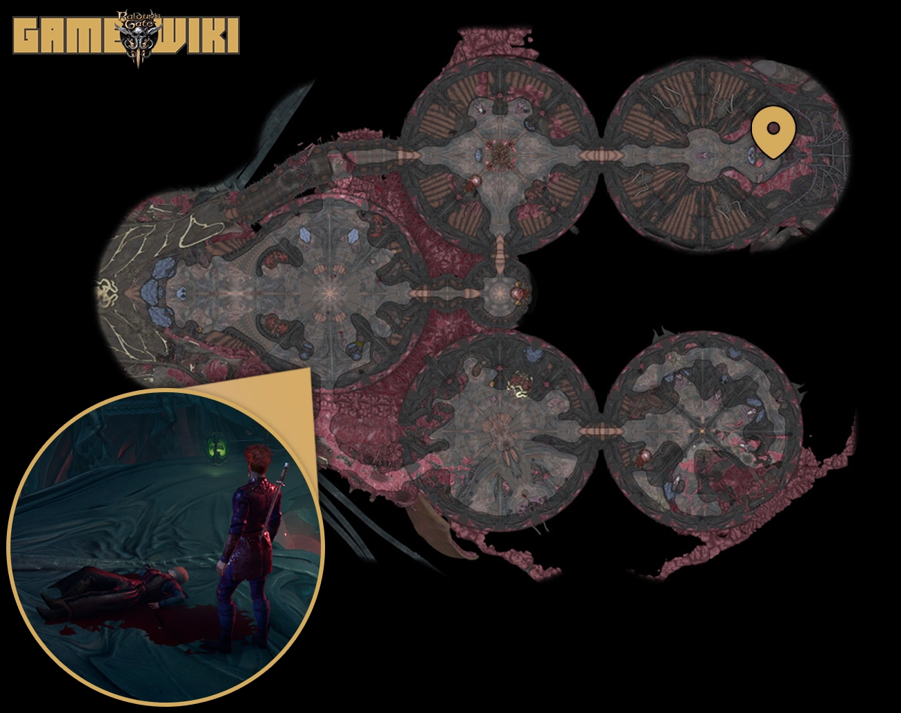  Rescue the Illithids' Captive in BG3